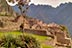 trip to machupicchu
