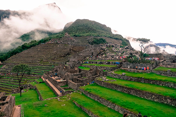 machu picchu trips