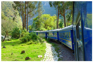 tren machu picchu